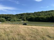 IMG_0530.JPEG