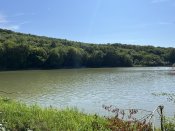 IMG_0534.JPEG