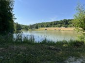 IMG_0535.JPEG