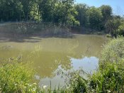 IMG_0537.JPEG