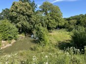IMG_0538.JPEG