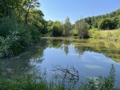 IMG_0539.JPEG