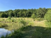 IMG_0540.JPEG