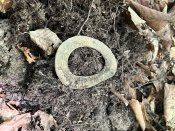 IMG_0475.JPEG