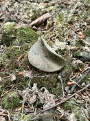 IMG_0480.JPEG