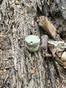 IMG_0484.JPEG