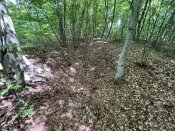 IMG_0487.JPEG