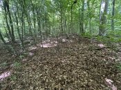 IMG_0488.JPEG