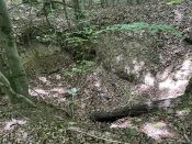 IMG_0489.JPEG