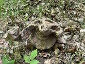 IMG_0493.JPEG