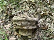 IMG_0496.JPEG