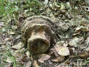IMG_0498.JPEG