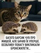 516374377_.jpg