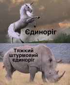 515095140_.jpg