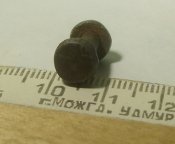 SL278295.JPG