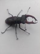 20250708_191119.jpg