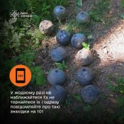 ММГ суббоеприпаса от стратегической ракеты X101