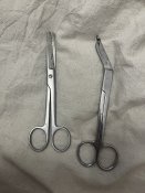 IMG_1751.jpeg