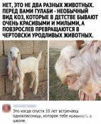 г2.jpg