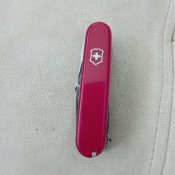 IMG_20250709_111545.jpg