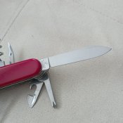 IMG_20250709_112020.jpg