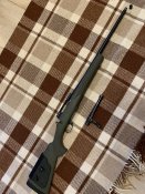 IMG_6116.jpeg