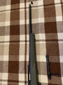 IMG_6118.jpeg