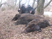 22 февраля 2009г 008.jpg