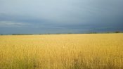 IMG_20250710_183919_1.jpg