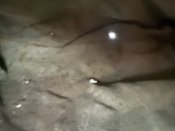Сумка для вещей Вермахт