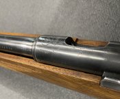 IMG_0785.jpeg