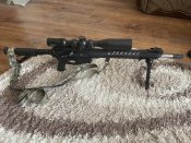 IMG_4966.jpeg