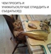IMG_20250710_234621_017.jpg