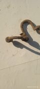 IMG_20250712_074730_1.jpg