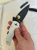 IMG_9572.jpeg