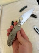 IMG_9570.jpeg
