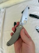 IMG_9569.jpeg