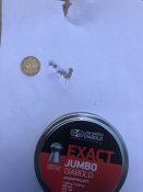 IMG_0082.jpeg