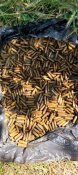 Гільзи полігон 7.62х39 АК обміднені та зелений лак десь 4 кг
