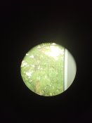 IMG_20250713_161741.jpg