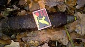 IMG-20131106-00055.jpg