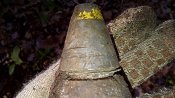 IMG-20131110-00067.jpg