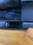 IMG_8874.jpeg