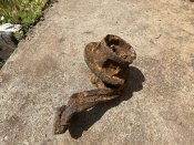 IMG_0592.JPEG