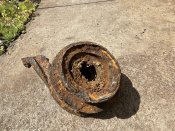 IMG_0595.JPEG