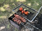 IMG_0620.JPEG