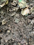 IMG_0612.JPEG