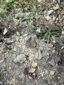 IMG_0614.JPEG