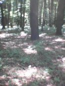 IMG0365A.jpg