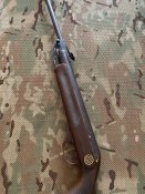 IMG_5593.jpeg